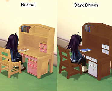 Student Desk
